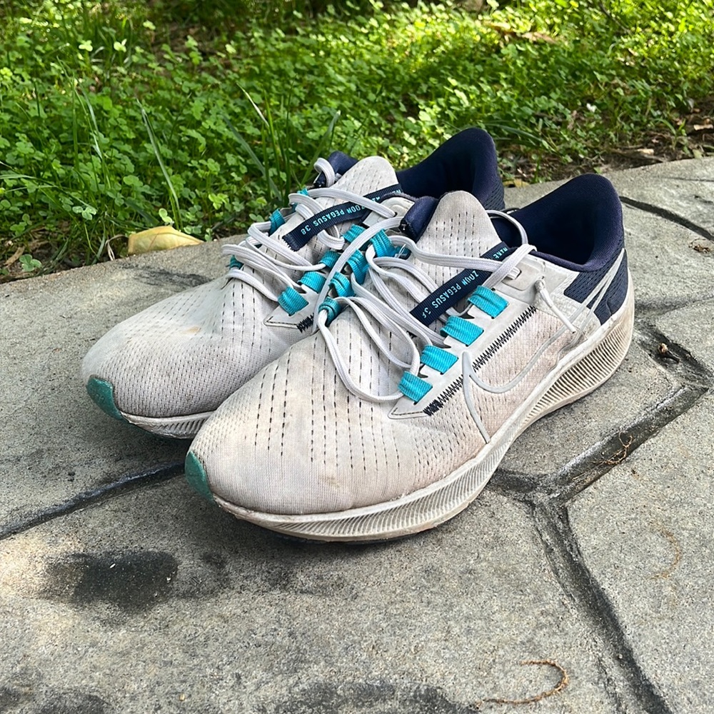 Nike Pegasus Shoes